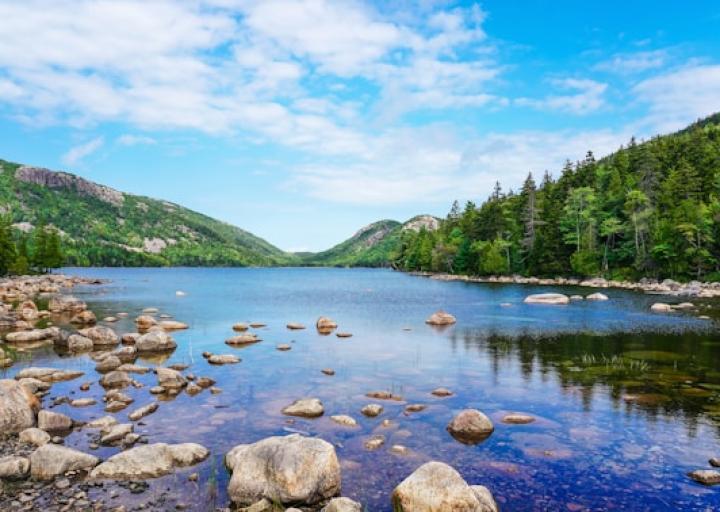 How Source Code Network Limited Is Redefining Digital Business Solutions.